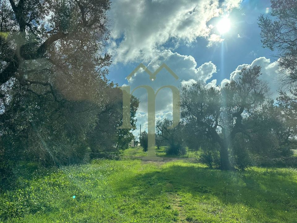 Helårsgrund i San Vito dei Normanni, Brindisi - foto 1